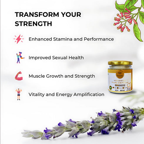 Arunveda Luxury Kondrion Plus Capsule